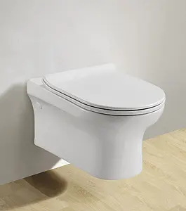 Крышка-сиденье для унитаза с микролифтом BelBagno Vella-R белый BB620SC, 4