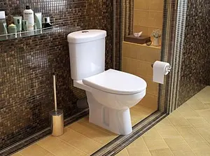 Унитаз-компакт Оскольская керамика Радуга тарельчатый стандарт белый 41901110022 Унитаз-компакт Оскольская керамика Радуга тарельчатый стандарт белый 41901110022, 3