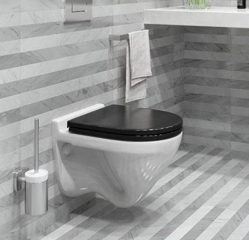 Унитаз подвесной Sanita Luxe Attica Color Black белый/черный ATCSLWH0110