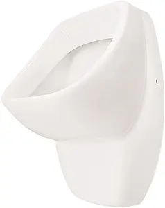 Писсуар с внешним подводом воды Santek Гала белый 1WH301774, 1