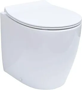 Унитаз приставной безободковый Allen Brau Fantasy белый 4.11007.20 Унитаз приставной безободковый Allen Brau Fantasy белый 4.11007.20, 1