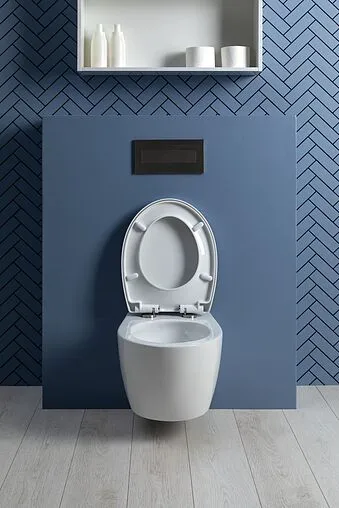 Унитаз подвесной безободковый Aquanet Zvezda Rimless белый ZV-1 Унитаз подвесной безободковый Aquanet Zvezda Rimless белый ZV-1