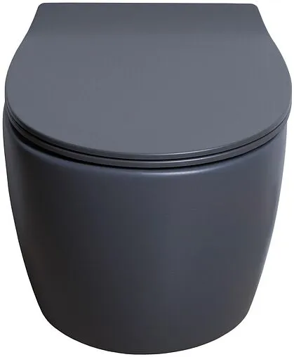 Унитаз подвесной безободковый Allen Brau Fantasy антрацит 4.11004.AN