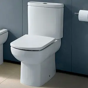 Унитаз-компакт Roca Dama Senso Compacto белый 342518000+34151B000 Унитаз-компакт Roca Dama Senso Compacto белый 342518000+34151B000, 5