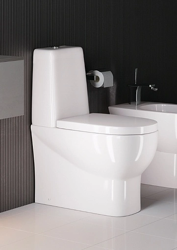 Унитаз-компакт Sanita Luxe Infinity mono SL DM белый INFSLCC01040822