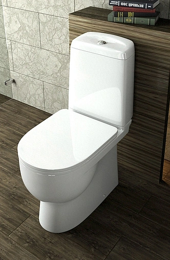 Унитаз-компакт Sanita Luxe Best Basic белый WC.CC/BEST/2-P/WHT.G/S1 Унитаз-компакт Sanita Luxe Best Basic белый WC.CC/BEST/2-P/WHT.G/S1