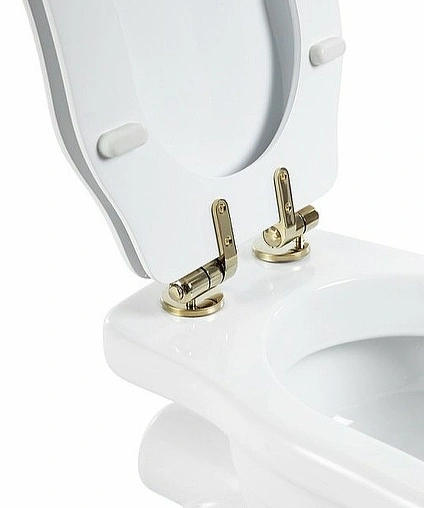 Крышка-сиденье для унитаза с микролифтом BelBagno Boheme белый BB115SCM-ORO