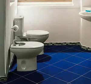 Биде напольное Roca Victoria белый 357390000, 4