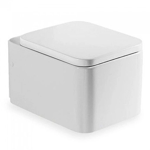 Крышка-сиденье для унитаза с микролифтом Roca Element белый 801572004