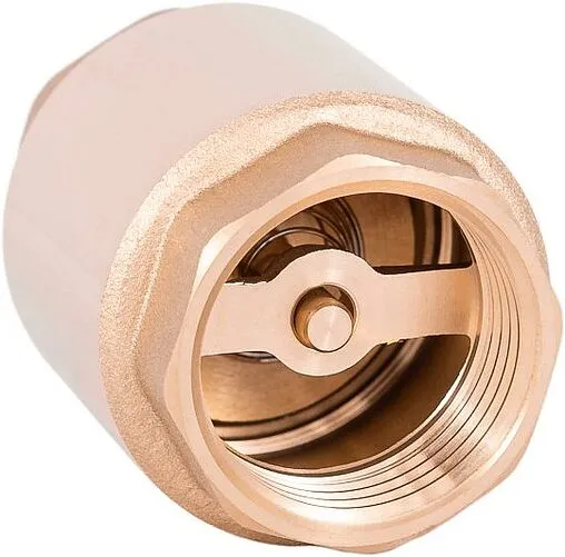 Погружной пружинный обратный клапан с фильтром 1&quot;в Belamos FV-C 1