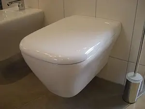 Крышка-сиденье для унитаза с микролифтом Keramag myDay белый 575410000, 2