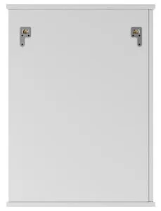 Шкаф-зеркало Айсберг Волна 50 L белый DA1042HZ, 4