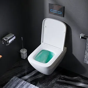 Унитаз подвесной безободковый Am.Pm Spirit 2.0 FlashClean белый C701701SC Унитаз подвесной безободковый Am.Pm Spirit 2.0 FlashClean белый C701701SC, 4