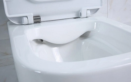 Крышка-сиденье для унитаза с микролифтом BelBagno Genova белый BB1102SC