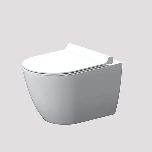 Унитаз подвесной безободковый Damixa Apollo белый DX22C1700SC Унитаз подвесной безободковый Damixa Apollo белый DX22C1700SC