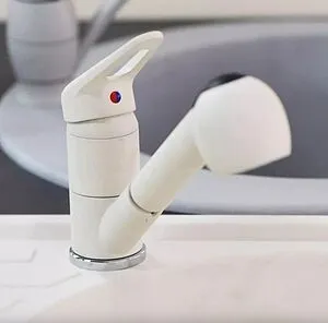 Смеситель для кухни с выдвижным изливом Franke Novara Plus pull-out белый 115.0470.669 Смеситель для кухни с выдвижным изливом Franke Novara Plus pull-out белый 115.0470.669, 3