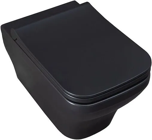 Унитаз подвесной безободковый Allen Brau Infinity черный матовый 4.21011.31