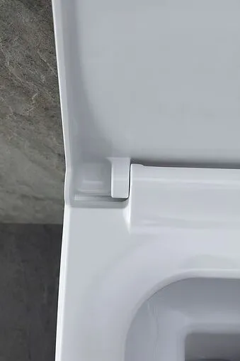 Унитаз подвесной безободковый Allen Brau Infinity белый 4.21011.20