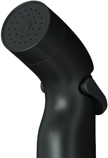 Гигиенический душ с держателем Am.Pm чёрный матовый F0202022