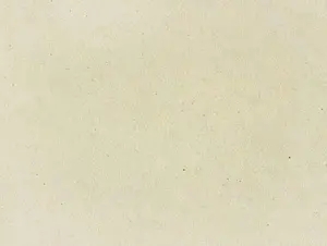 Смеситель для кухни с подключением к фильтру Omoikiri Tonami-BE ваниль/хром 4994059 Смеситель для кухни с подключением к фильтру Omoikiri Tonami-BE ваниль/хром 4994059, 5