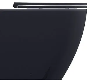 Унитаз приставной безободковый Allen Brau Reality антрацит 4.32004.AN Унитаз приставной безободковый Allen Brau Reality антрацит 4.32004.AN, 1