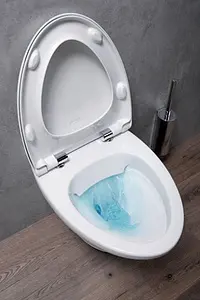 Крышка-сиденье для унитаза с микролифтом Jacob Delafon Nouvelle Vague белый E20068-00, 3