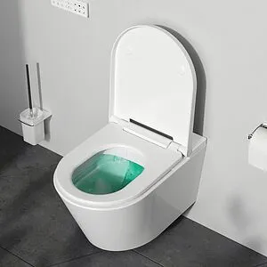 Умный унитаз-биде подвесной безободковый Am.Pm Inspire FlashClean белый CCC501700SC Умный унитаз-биде подвесной безободковый Am.Pm Inspire FlashClean белый CCC501700SC, 5