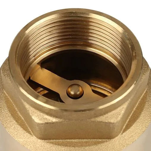 Клапан обратный пружинный 1½"в x 1½"в Itap Europa 1000112 Клапан обратный пружинный 1½"в x 1½"в Itap Europa 1000112