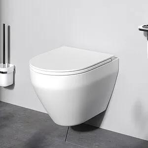 Унитаз подвесной безободковый Am.Pm Spirit 2.0 FlashClean белый матовый C701700MWSC Унитаз подвесной безободковый Am.Pm Spirit 2.0 FlashClean белый матовый C701700MWSC, 3