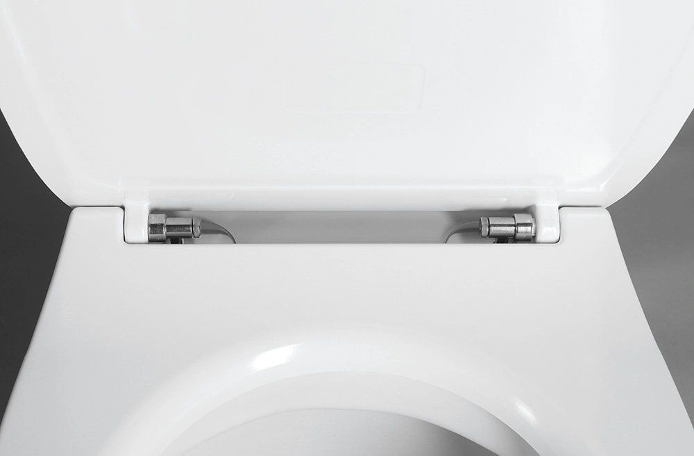 Крышка-сиденье для унитаза с микролифтом ISVEA D40 белый 40D40200I-S Крышка-сиденье для унитаза с микролифтом ISVEA D40 белый 40D40200I-S