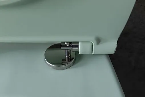 Унитаз подвесной безободковый Allen Brau Fantasy мятный 4.11004.MT