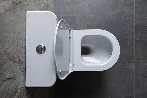 Унитаз-компакт безободковый Allen Brau Priority белый 4.31003.20+4.XX000.20