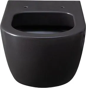 Унитаз подвесной безободковый Allen Brau Priority антрацит 4.31001.AN, 5