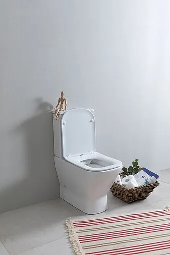 Унитаз-компакт безободковый Aquanet Fine-C Rimless белый FINE-C+FINE-C-1 Унитаз-компакт безободковый Aquanet Fine-C Rimless белый FINE-C+FINE-C-1