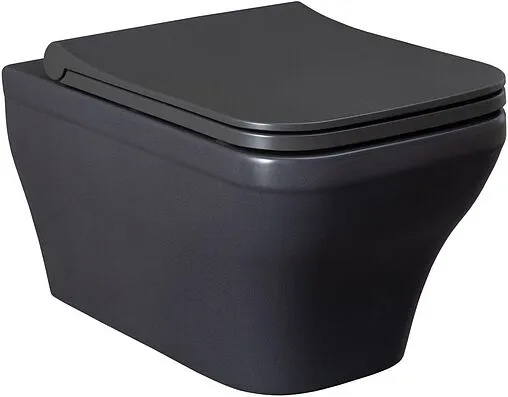 Унитаз подвесной безободковый Allen Brau Infinity антрацит 4.21011.AN