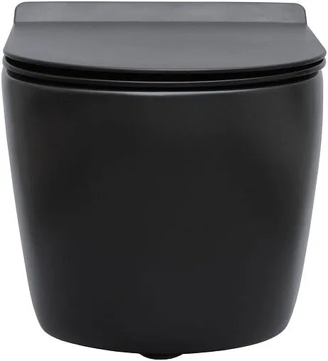 Унитаз подвесной безободковый Aquanet Cetus-BW Rimless черный матовый CETUS-BW