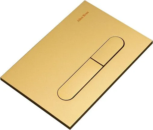 Клавиша смыва для унитаза Allen Brau Project Color 9.2PR01.GD золото матовое