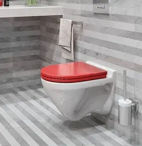 Унитаз подвесной Sanita Luxe Attica Color Red белый/красный ATCSLWH0111 Унитаз подвесной Sanita Luxe Attica Color Red белый/красный ATCSLWH0111, 4