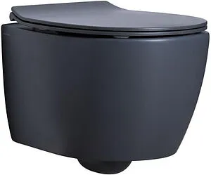 Унитаз подвесной безободковый Allen Brau Fantasy антрацит 4.11004.AN, 1