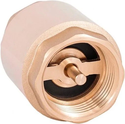 Погружной пружинный обратный клапан с фильтром 1&quot;в Belamos FV-C 1