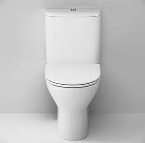 Унитаз-компакт безободковый Damixa Luna белый DX46C8600SC Унитаз-компакт безободковый Damixa Luna белый DX46C8600SC, 5