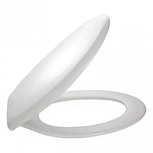 Крышка-сиденье для унитаза Jacob Delafon Brive белый E4357G-00, 1