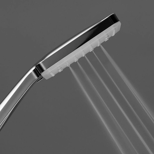 Лейка ручного душа Swedbe Calypso хром/белый 5057