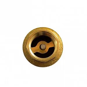 Клапан обратный пружинный ½&quot;в x ½&quot;в STI 03.05.STC0150, 3