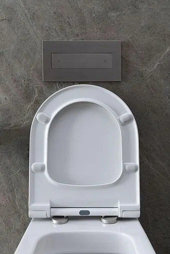 Унитаз подвесной безободковый Allen Brau Priority белый 4.31002.20