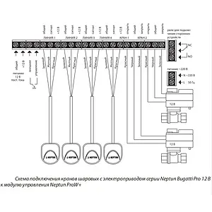 Модуль управления Neptun ProW+ 2153651, 3