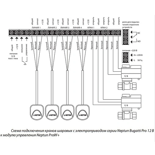 Модуль управления Neptun ProW+ 2153651