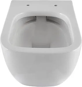 Унитаз подвесной безободковый Allen Brau Infinity белый 4.21004.20 Унитаз подвесной безободковый Allen Brau Infinity белый 4.21004.20, 3