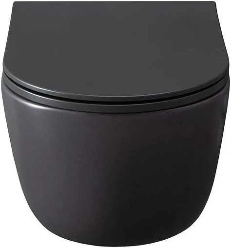 Унитаз подвесной безободковый Allen Brau Priority антрацит 4.31002.AN