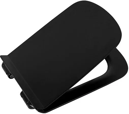 Крышка-сиденье для унитаза с микролифтом BelBagno Sela черный матовый BB3201SC-MB